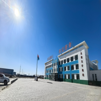 喜報｜數(shù)智賦能西部開發(fā) 鹽湖綻放蘭臺之花